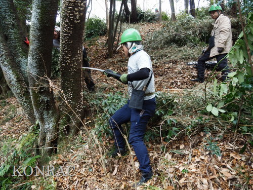 ���R��y��