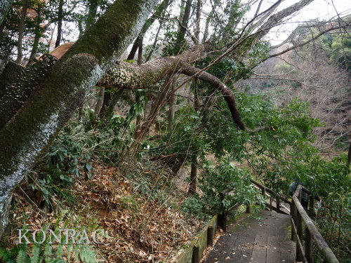 ���R��y��