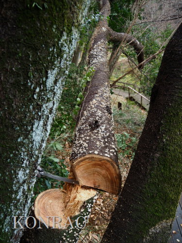 ���R��y��