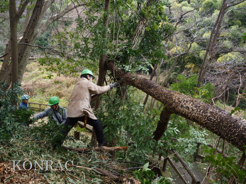 ���R��y��