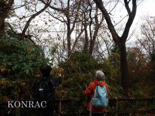 ���ы�y��