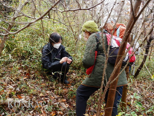 ���ы�y��