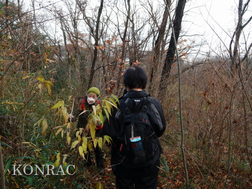 ���ы�y��