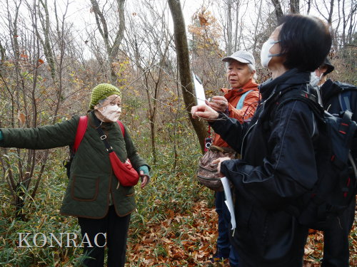 ���ы�y��