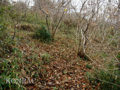 ���ы�y��