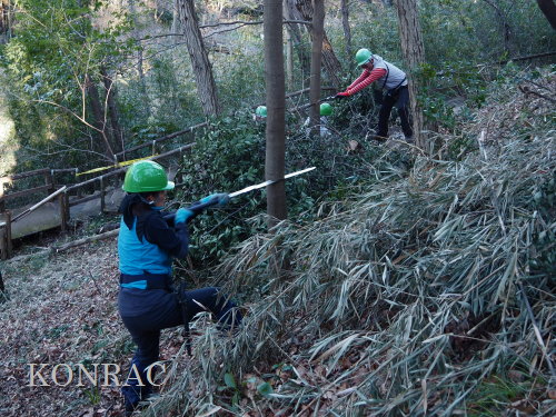 ���R��y��