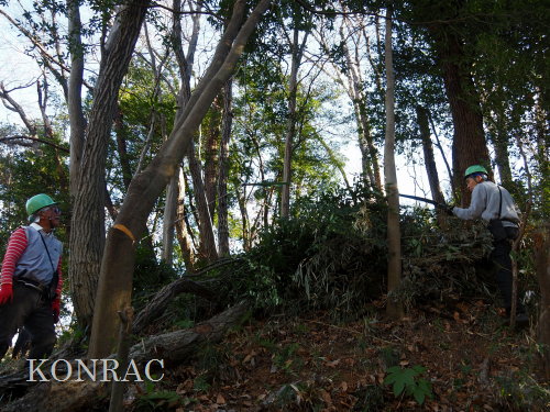 ���R��y��