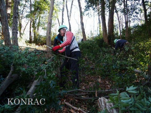 ���R��y��