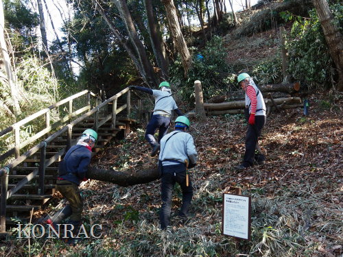 ���R��y��