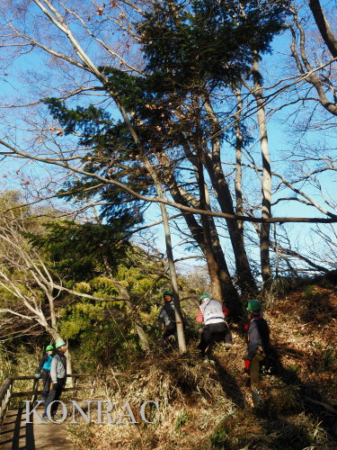 ���R��y��