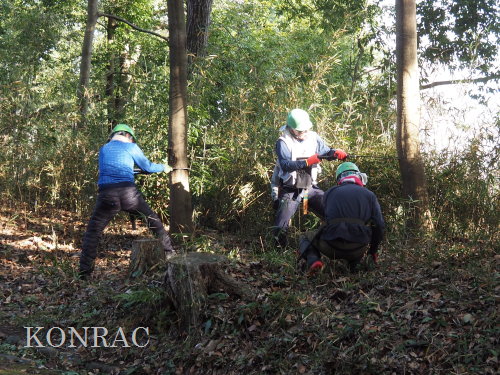 ���R��y��