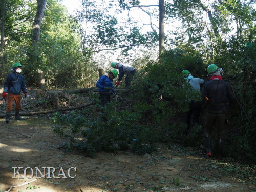 ���R��y��