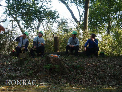 ���R��y��