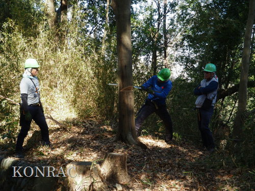 ���R��y��