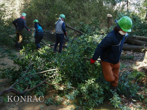 ���R��y��