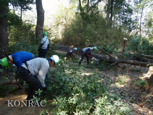 ���R��y��