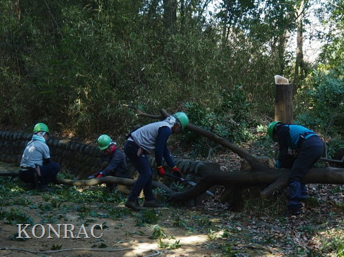 ���R��y��