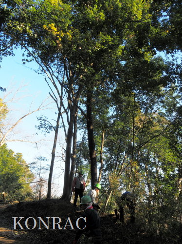 ���R��y��