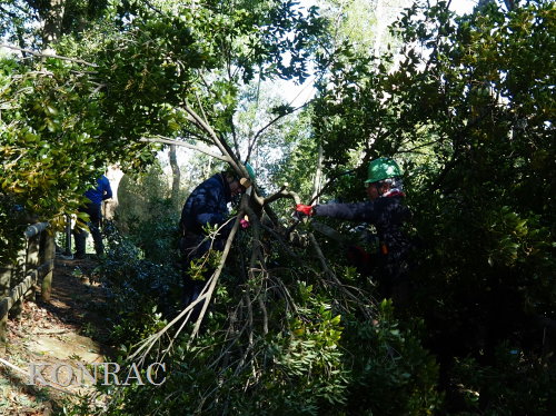 ���R��y��