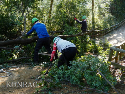 ���R��y��