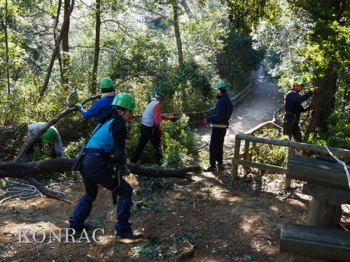 ���R��y��