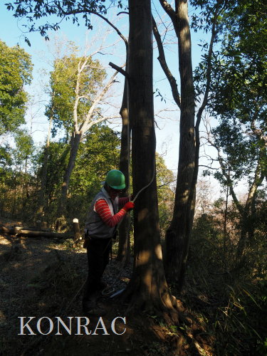 ���R��y��