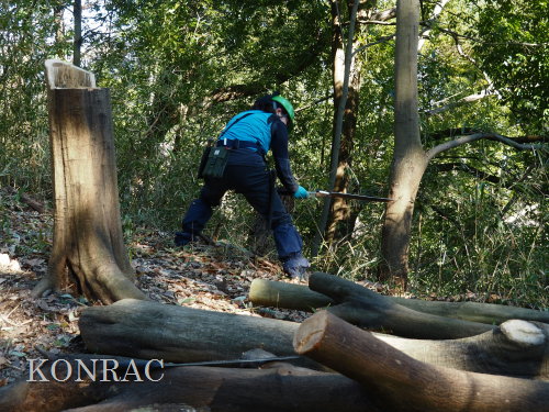 ���R��y��