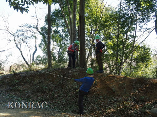 ���R��y��