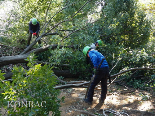 ���R��y��