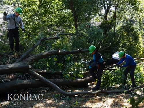 ���R��y��