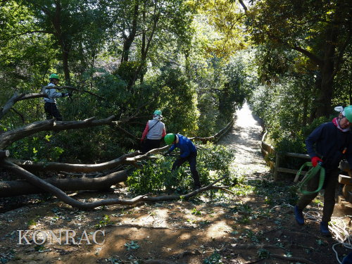 ���R��y��