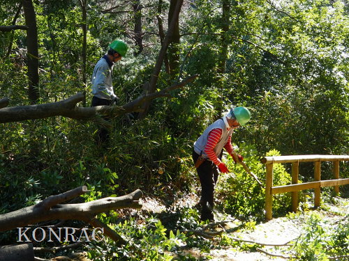 ���R��y��