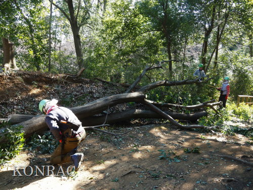 ���R��y��