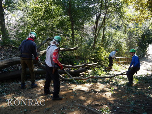 ���R��y��