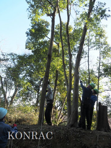 ���R��y��