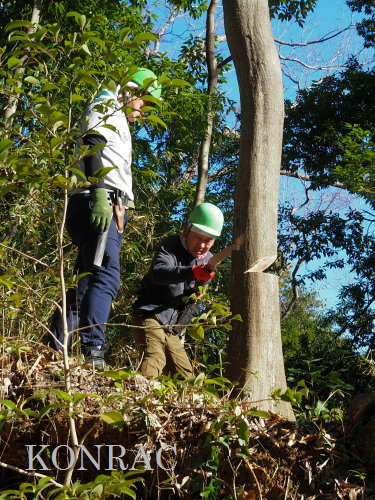 ���R��y��