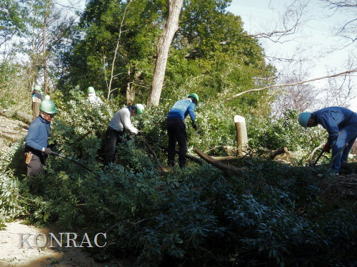 ���R��y��