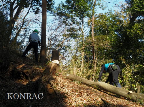 ���R��y��