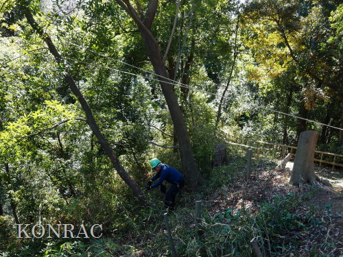 ���R��y��