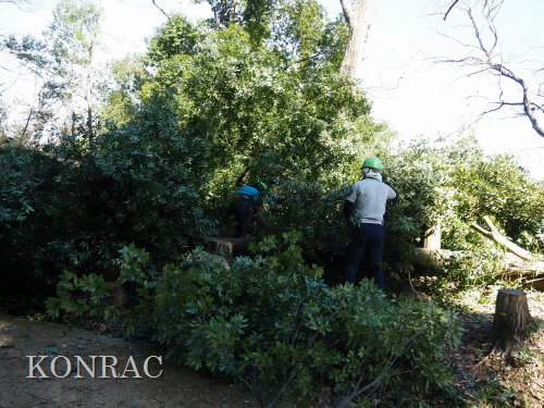 ���R��y��