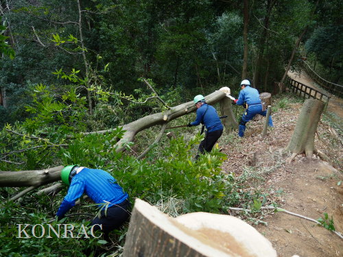 ���R��y��