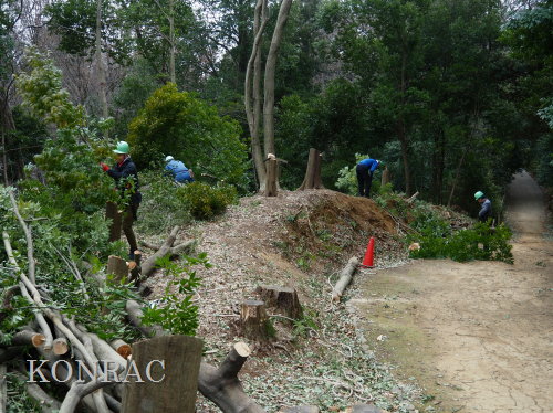 ���R��y��