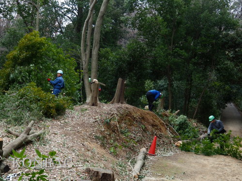 ���R��y��