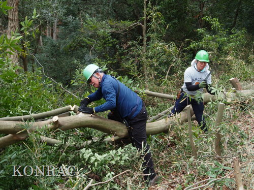 ���R��y��