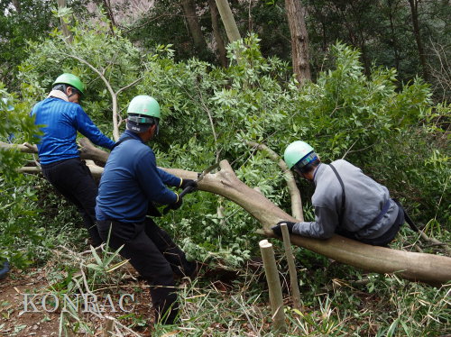 ���R��y��