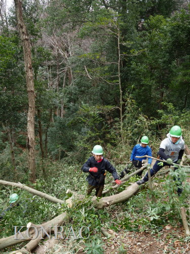 ���R��y��