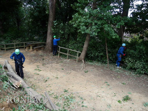 ���R��y��