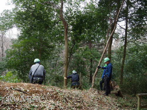 ���R��y��