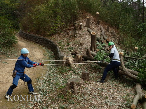 ���R��y��