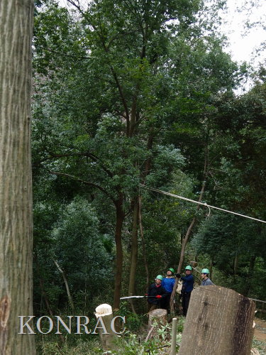 ���R��y��